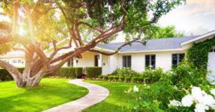 Maneiras de manter árvores em áreas residenciais